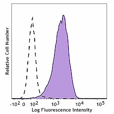 Brilliant Violet 421™ anti-human CD338 (ABCG2)