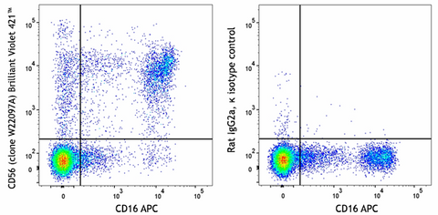 Brilliant Violet 421™ anti-human CD56 (NCAM)