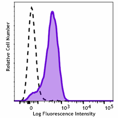 Brilliant Violet 421™ anti-human CD8b Recombinant