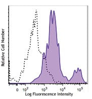 Brilliant Violet 421™ anti-mouse ENPP1