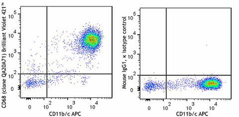 Brilliant Violet 421™ anti-rat CD68 Recombinant