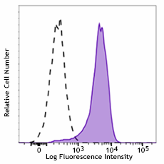 Brilliant Violet 421™ anti-STAT6 Phospho (Tyr641)