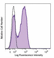 Brilliant Violet 510™ anti-human CD127 (IL-7Rα)