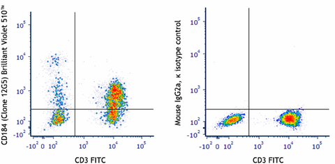 Brilliant Violet 510™ anti-human CD184 (CXCR4)