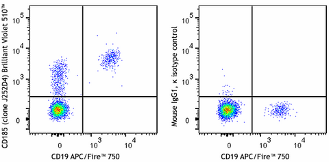 Brilliant Violet 510™ anti-human CD185 (CXCR5)