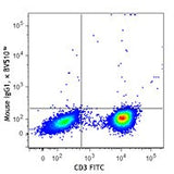 Brilliant Violet 510™ anti-human TCR Vα24-Jα18 (iNKT cell)