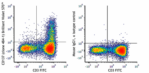 Brilliant Violet 570™ anti-human CD137 (4-1BB)