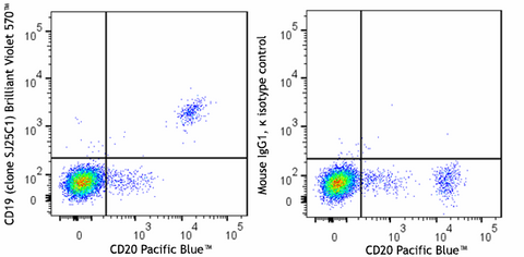 Brilliant Violet 570™ anti-human CD19