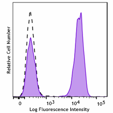 Brilliant Violet 570™ Goat anti-mouse IgG (minimal x-reactivity)