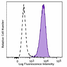 Brilliant Violet 605™ anti-human CD13