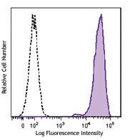 Brilliant Violet 605™ anti-human CD138 (Syndecan-1)