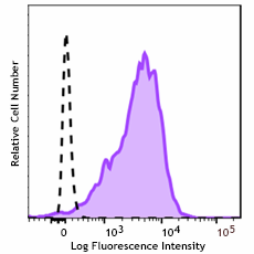 Brilliant Violet 605™ anti-human CD147