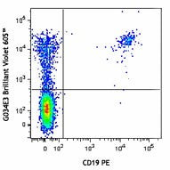 Brilliant Violet 605™ anti-human CD196 (CCR6)