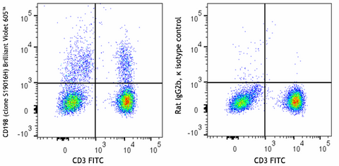 Brilliant Violet 605™ anti-human CD198 (CCR8)