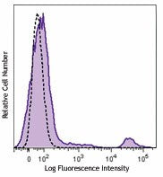 Brilliant Violet 605™ anti-human CD20