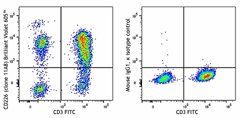 Brilliant Violet 605™ anti-human CD226 (DNAM-1)