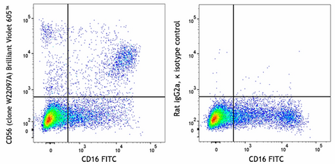Brilliant Violet 605™ anti-human CD56 (NCAM)