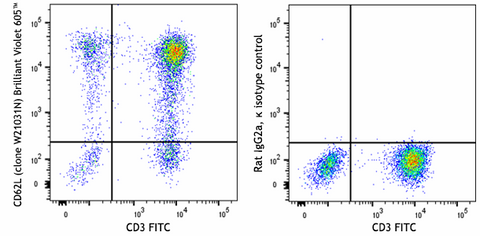 Brilliant Violet 605™ anti-human CD62L