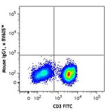 Brilliant Violet 605™ anti-human IL-17A