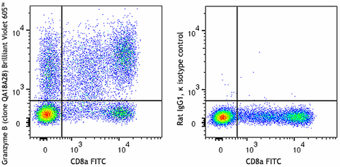 Brilliant Violet 605™ anti-human/mouse Granzyme B Recombinant