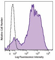 Brilliant Violet 605™ anti-mouse/human CD11b