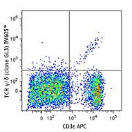 Brilliant Violet 605™ anti-mouse TCR γ/δ