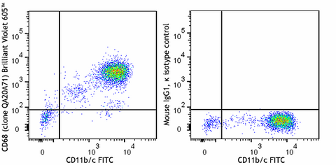 Brilliant Violet 605™ anti-rat CD68 Recombinant