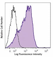 Brilliant Violet 650™ anti-human CD366 (Tim-3)