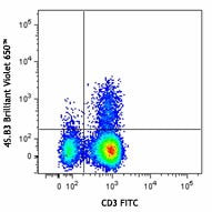 Brilliant Violet 650™ anti-human IFN-γ