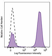 Brilliant Violet 650™ anti-mouse IgG1