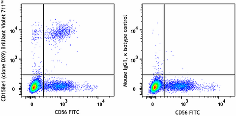 Brilliant Violet 711™ anti-human CD158e1 (KIR3DL1, NKB1)