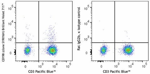 Brilliant Violet 711™ anti-human CD198 (CCR8)