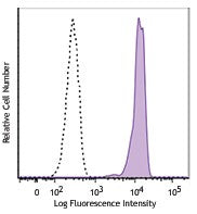 Brilliant Violet 711™ anti-human EGFR