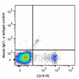 Brilliant Violet 711™ anti-human IgM