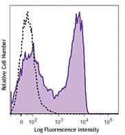 Brilliant Violet 711™ anti-mouse CD62L