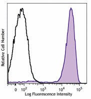 Brilliant Violet 711™ anti-mouse Ly-6G/Ly-6C (Gr-1)