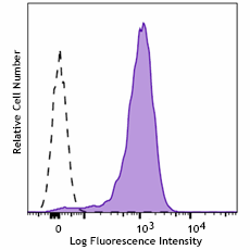 Brilliant Violet 785™ anti-human CD107b (LAMP-2)