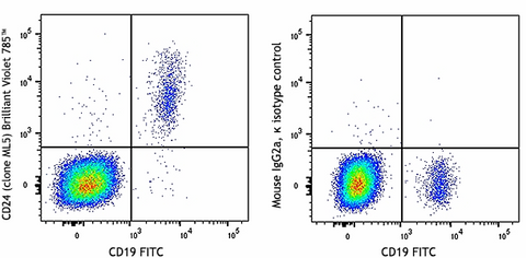 Brilliant Violet 785™ anti-human CD24