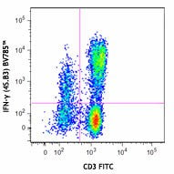 Brilliant Violet 785™ anti-human IFN-γ