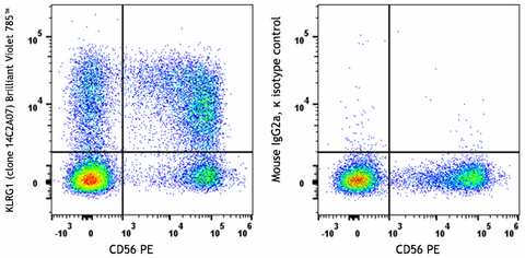 Brilliant Violet 785™ anti-human KLRG1 (MAFA)