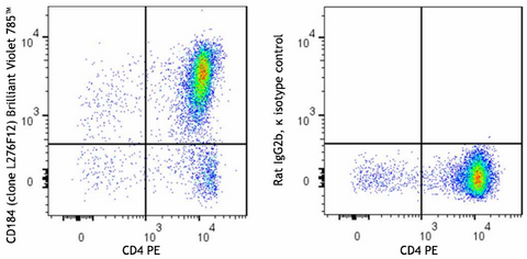 Brilliant Violet 785™ anti-mouse CD184 (CXCR4)