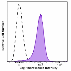 Brilliant Violet 785™ anti-mouse CD31