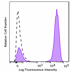Brilliant Violet 785™ Goat anti-mouse IgG (minimal x-reactivity)