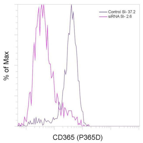 CD365 (Tim-1) Recombinant Rabbit Monoclonal Antibody (P365D), Alexa Fluor 488, eBioscience
