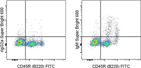 IgM Monoclonal Antibody (II/41), Super Bright™ 600