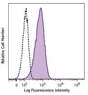 FITC anti-human CD146