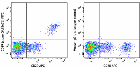 FITC anti-human CD19 Recombinant