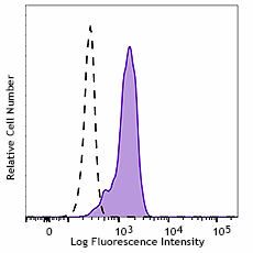 FITC anti-human CD191 (CCR1)