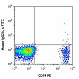 FITC anti-human CD196 (CCR6)