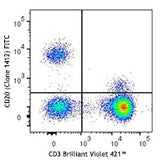 FITC anti-human CD20 (cytoplasmic)